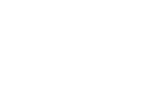 Elmona logo
